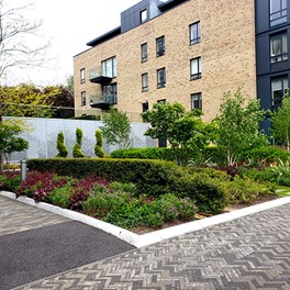 Kew Bridge landscaping by Crabtree