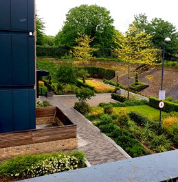 Kew Bridge landscaping by Crabtree